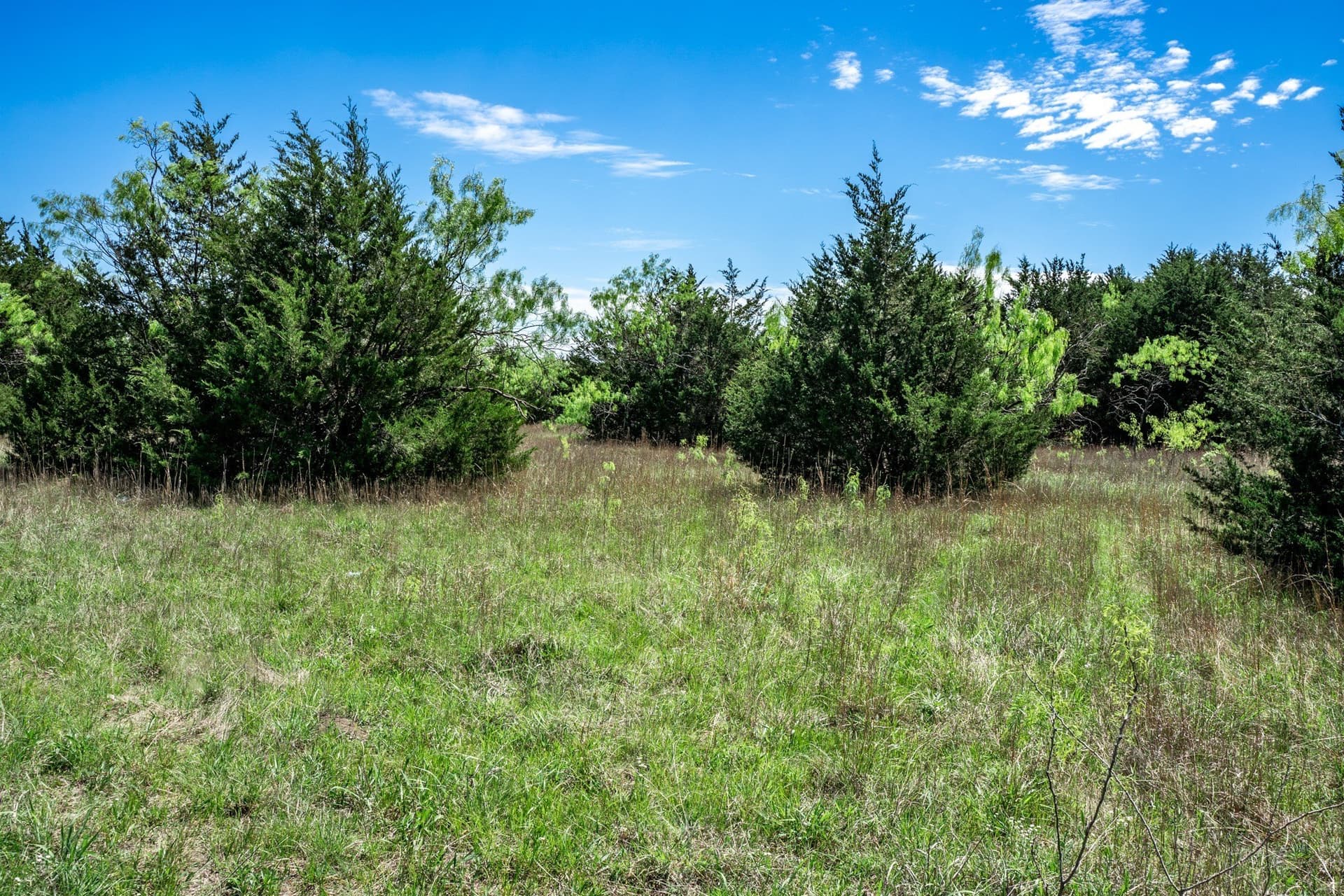 54.06 acres in Kaufman County - photo 23