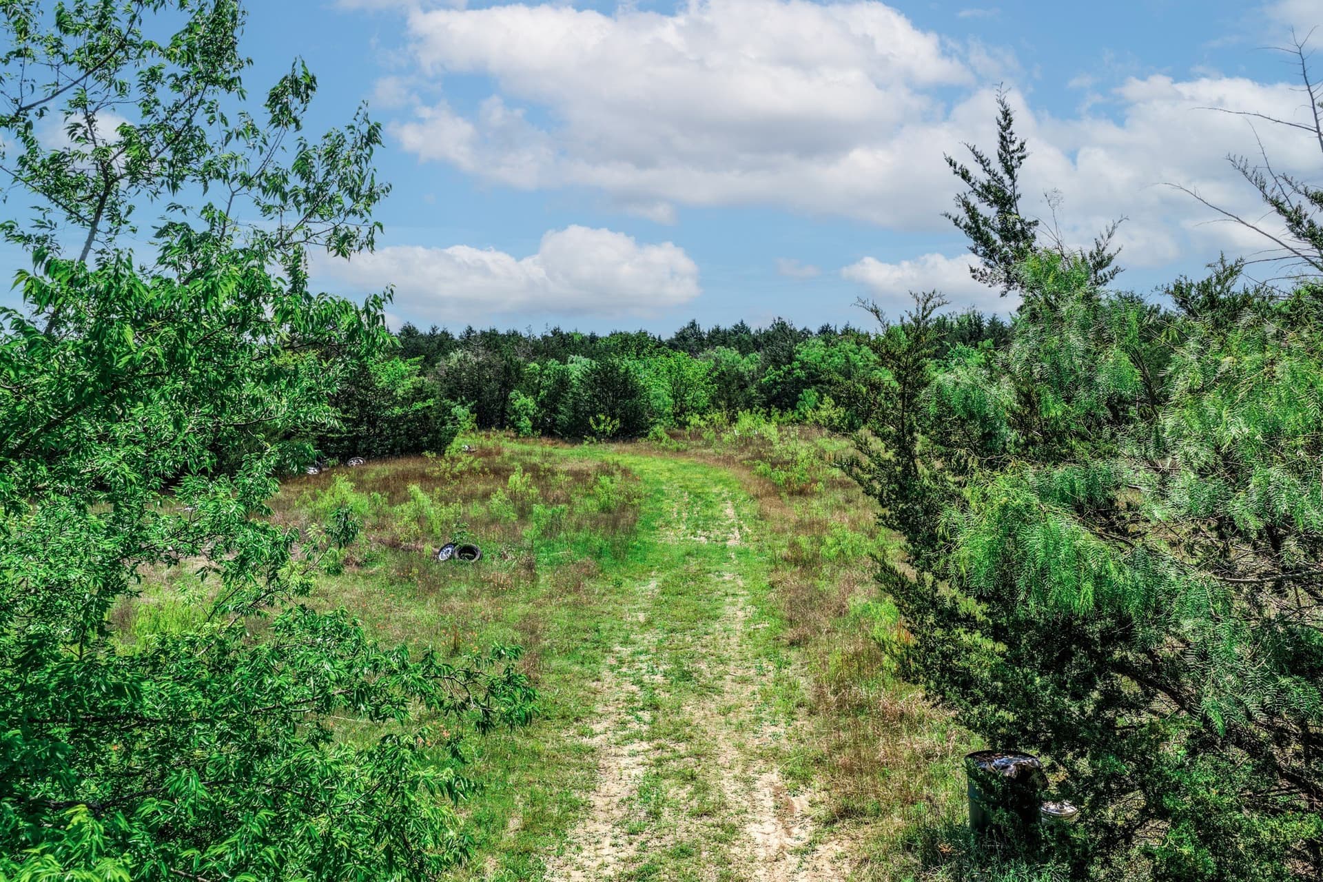 54.06 acres in Kaufman County - photo 21