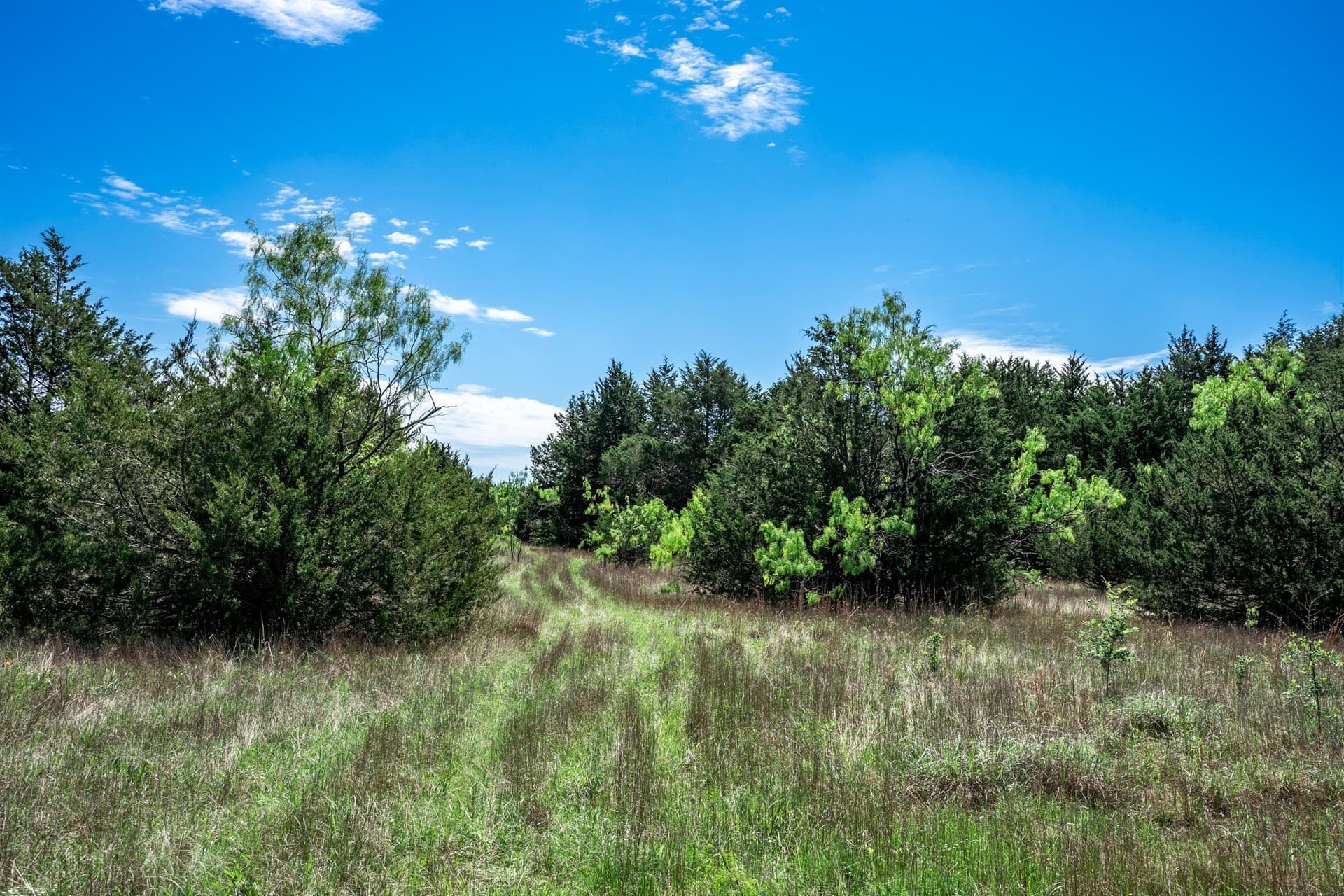 54.06 acres in Kaufman County - photo 27