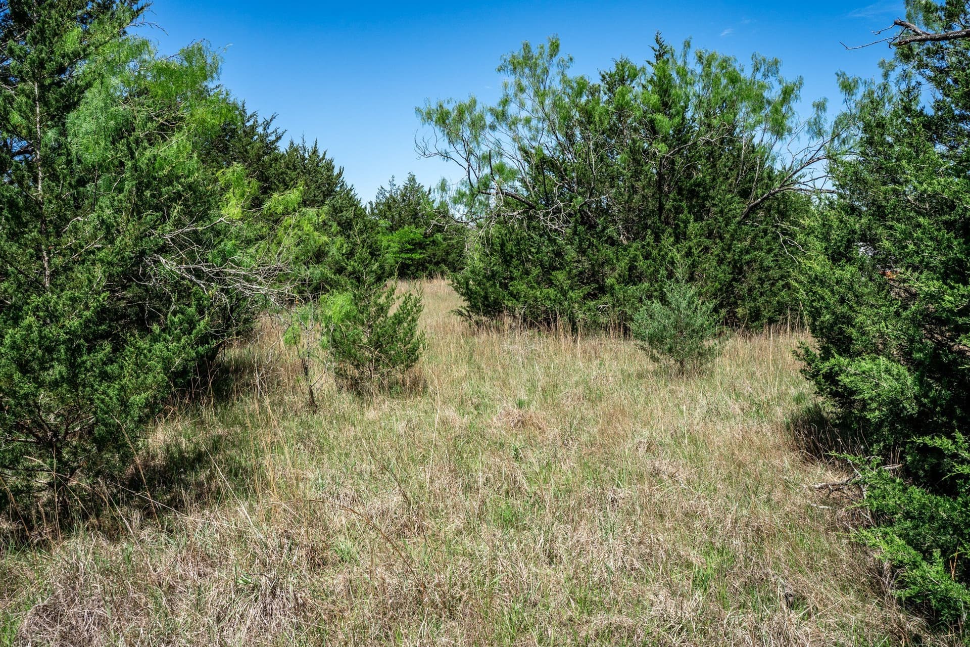 54.06 acres in Kaufman County - photo 24