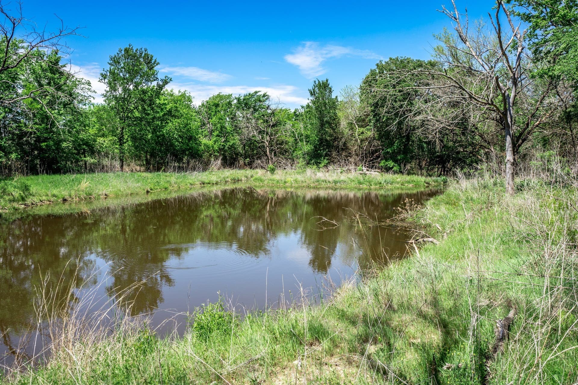 54.06 acres in Kaufman County - photo 35