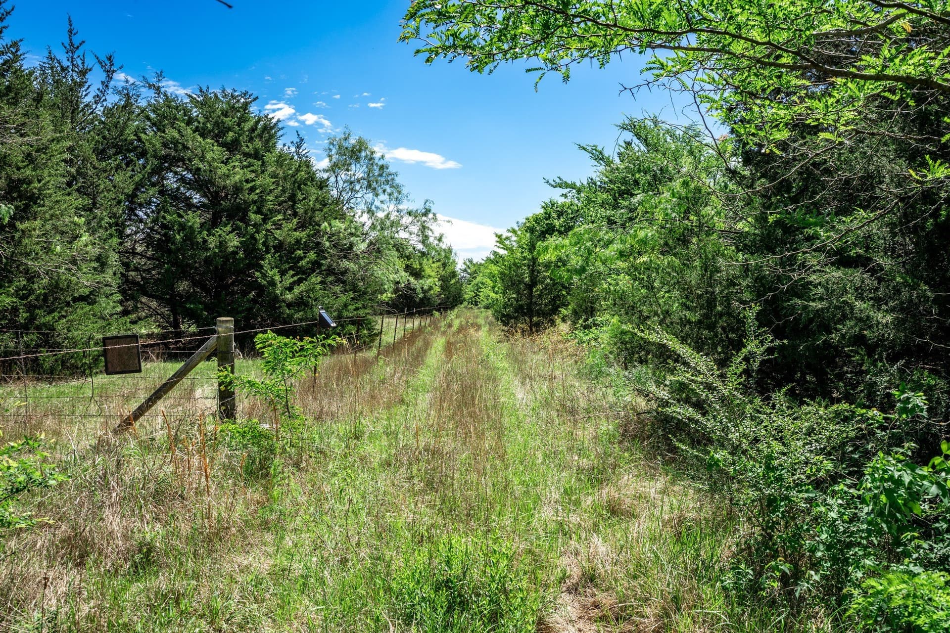 54.06 acres in Kaufman County - photo 30