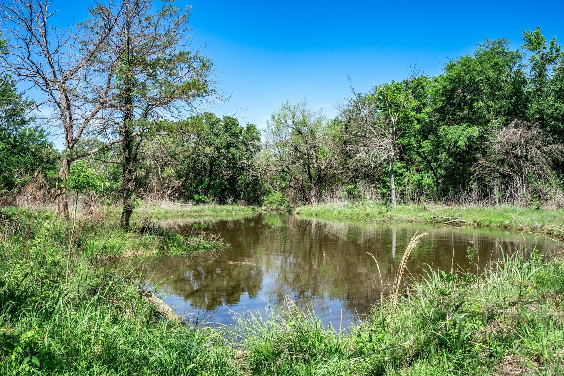 54.06 acres in Kaufman County - photo 36