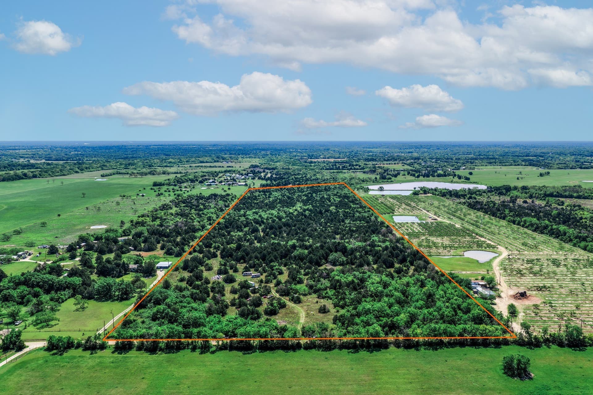 54.06 acres in Kaufman County gallery image 4