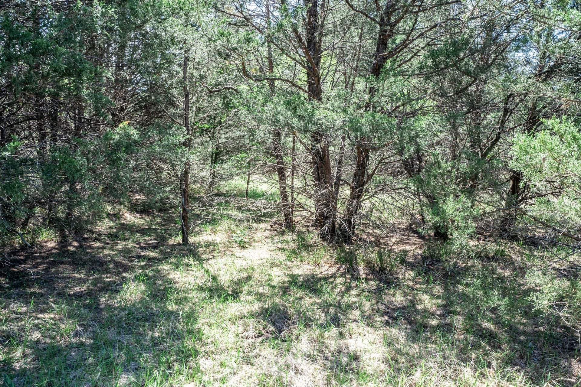 54.06 acres in Kaufman County - photo 40