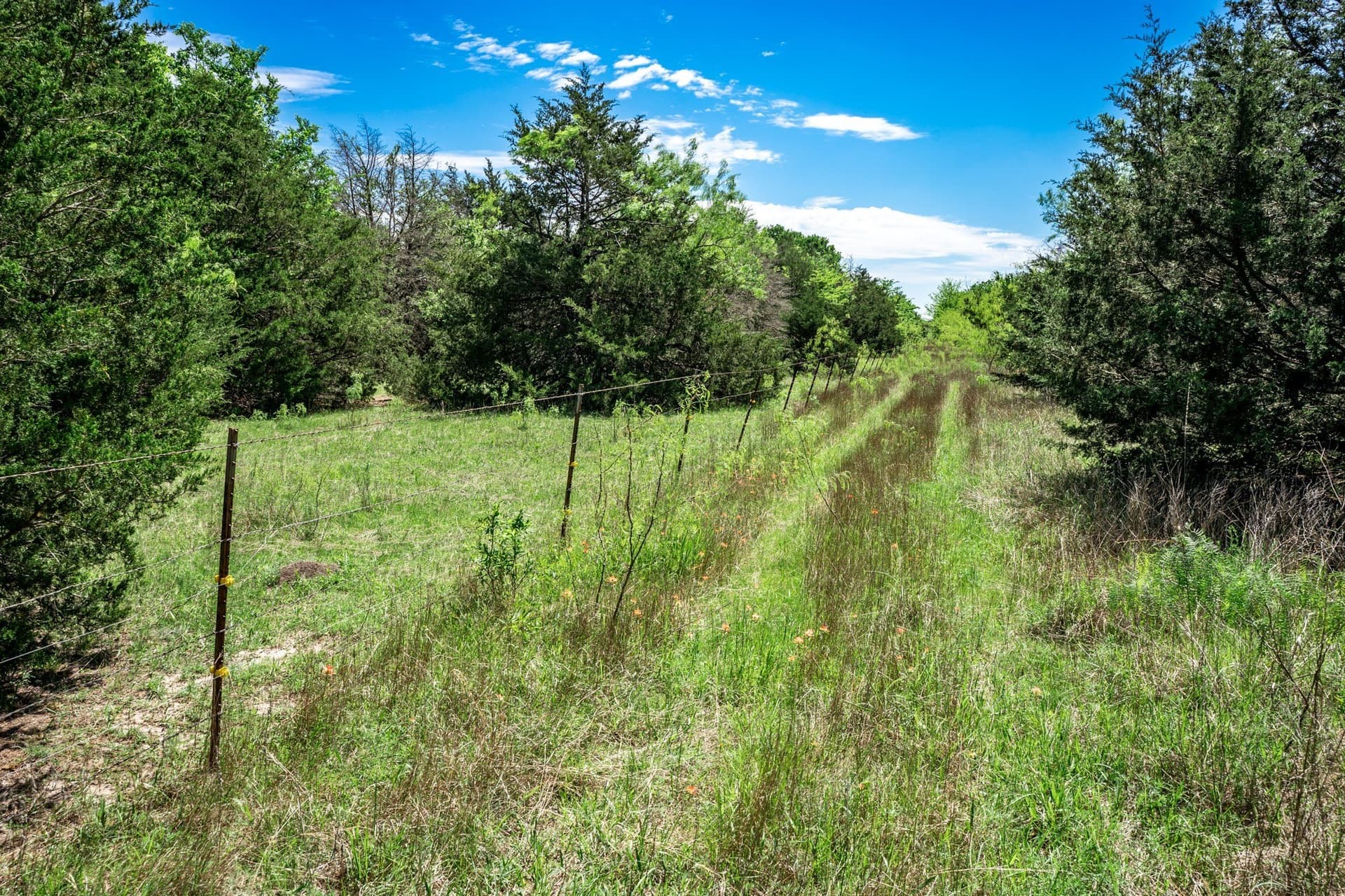 54.06 acres in Kaufman County - photo 31