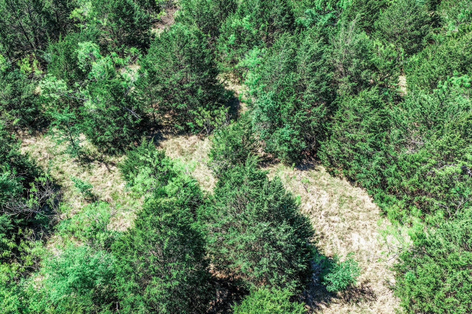 54.06 acres in Kaufman County - photo 15