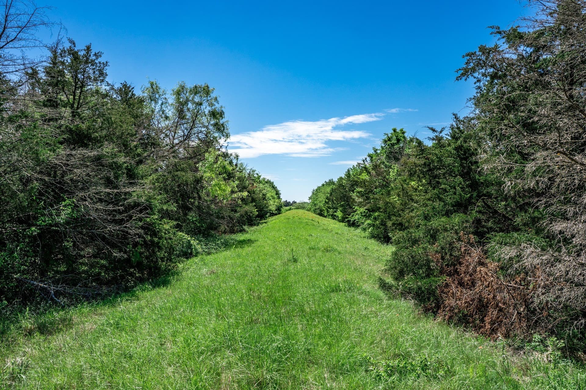 54.06 acres in Kaufman County - photo 32