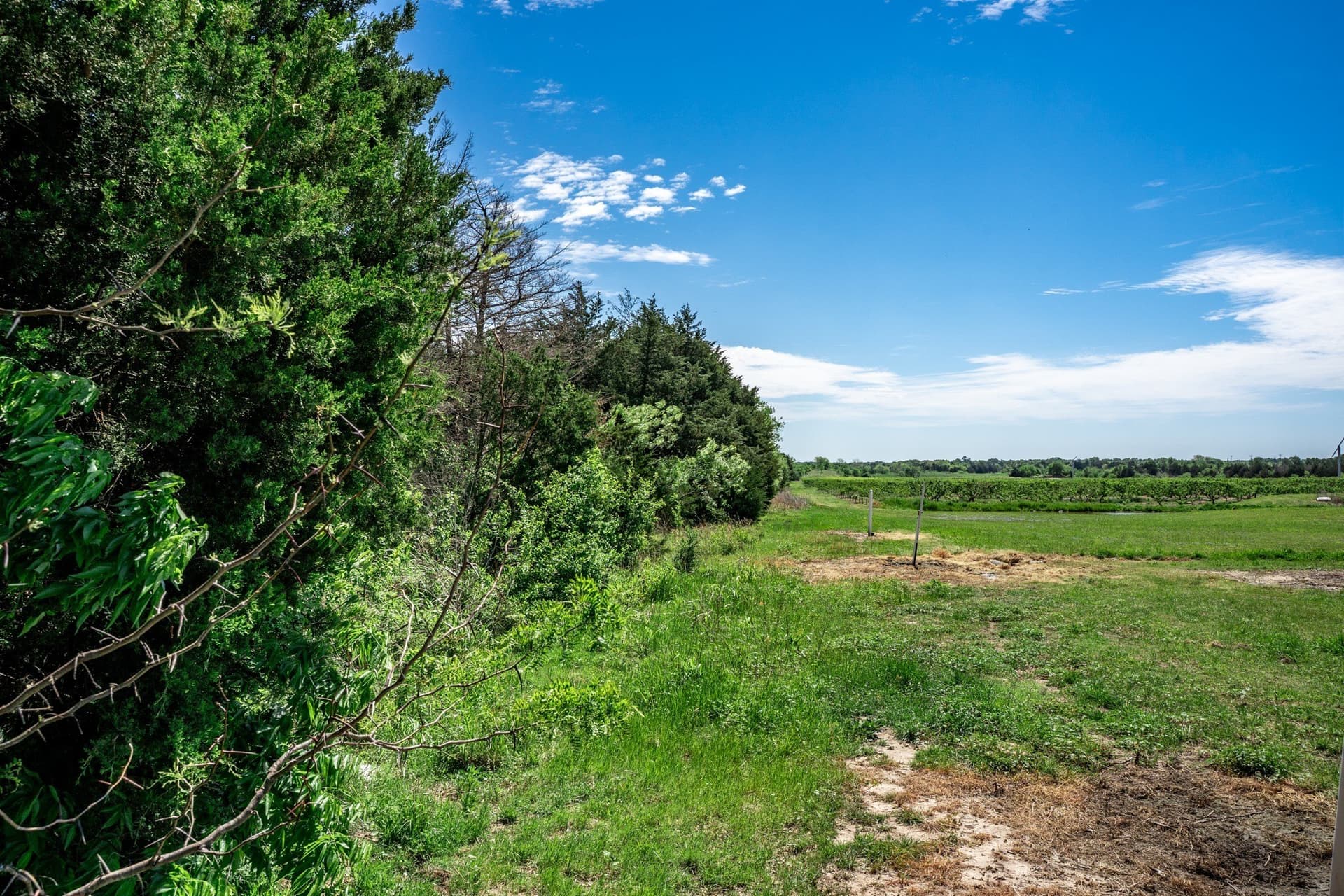 54.06 acres in Kaufman County - photo 26