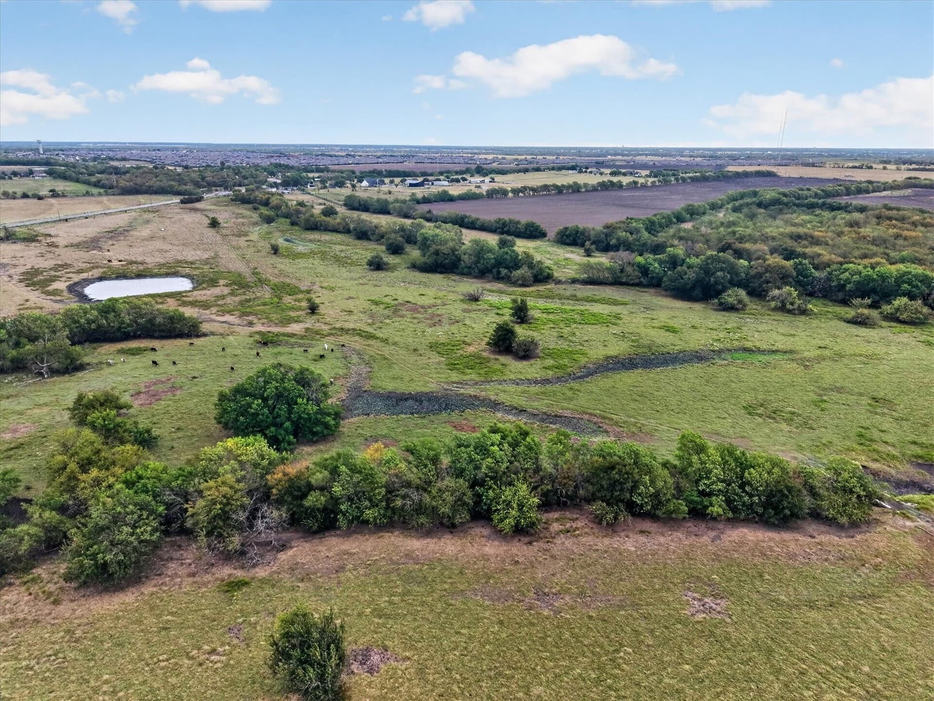 21.88 acres in Collin County - photo 8