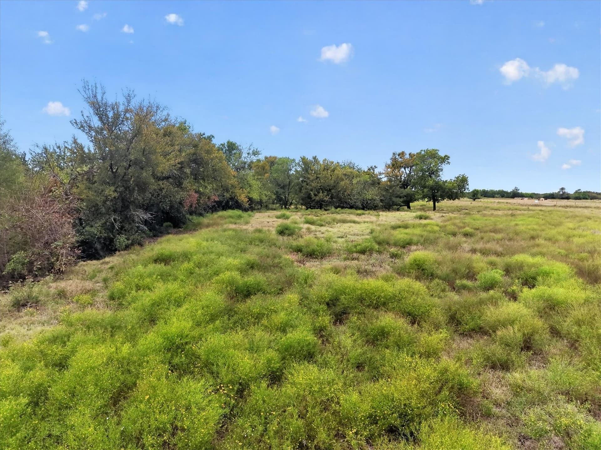 21.88 acres in Collin County - photo 20