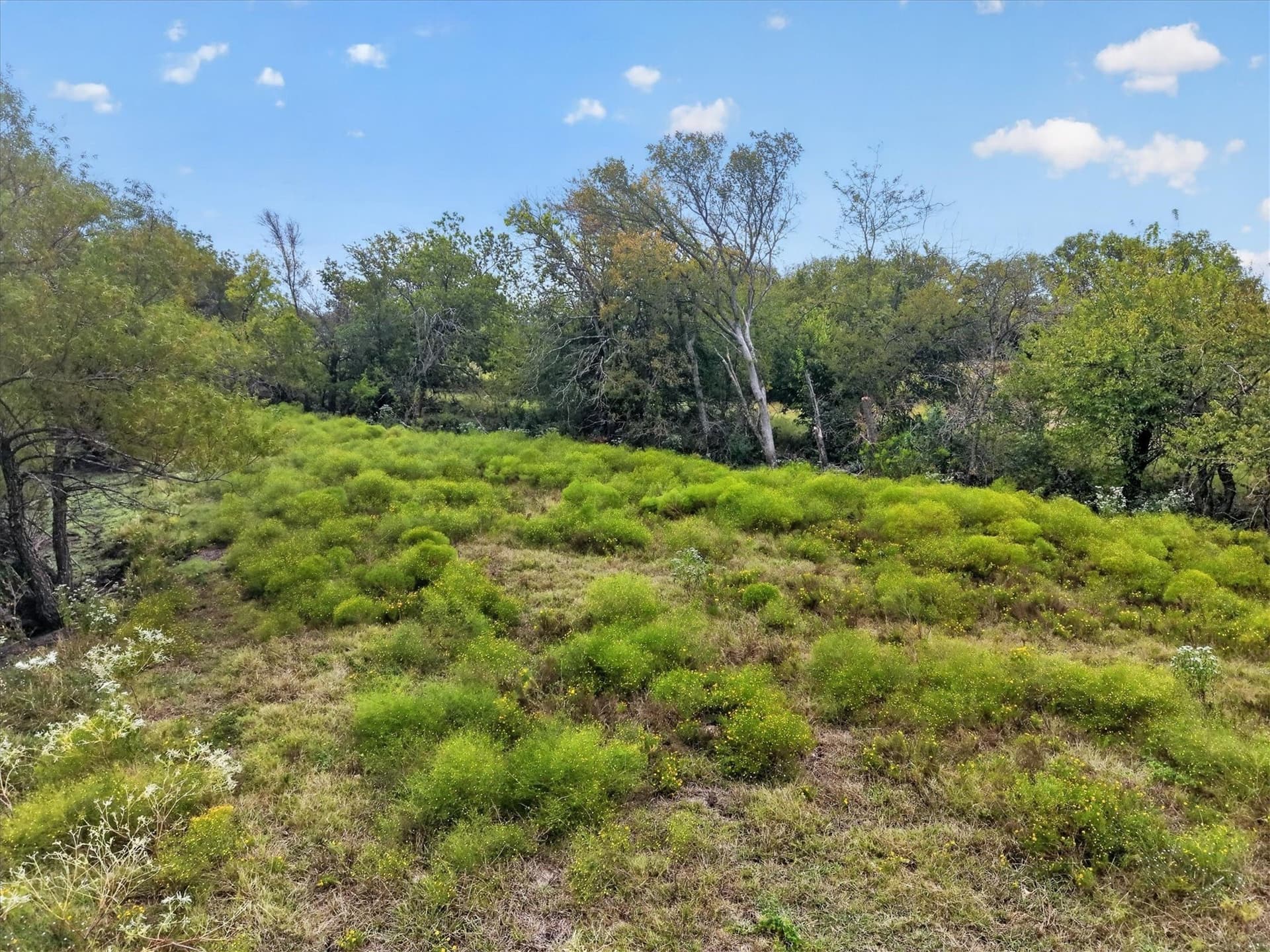 21.88 acres in Collin County - photo 17