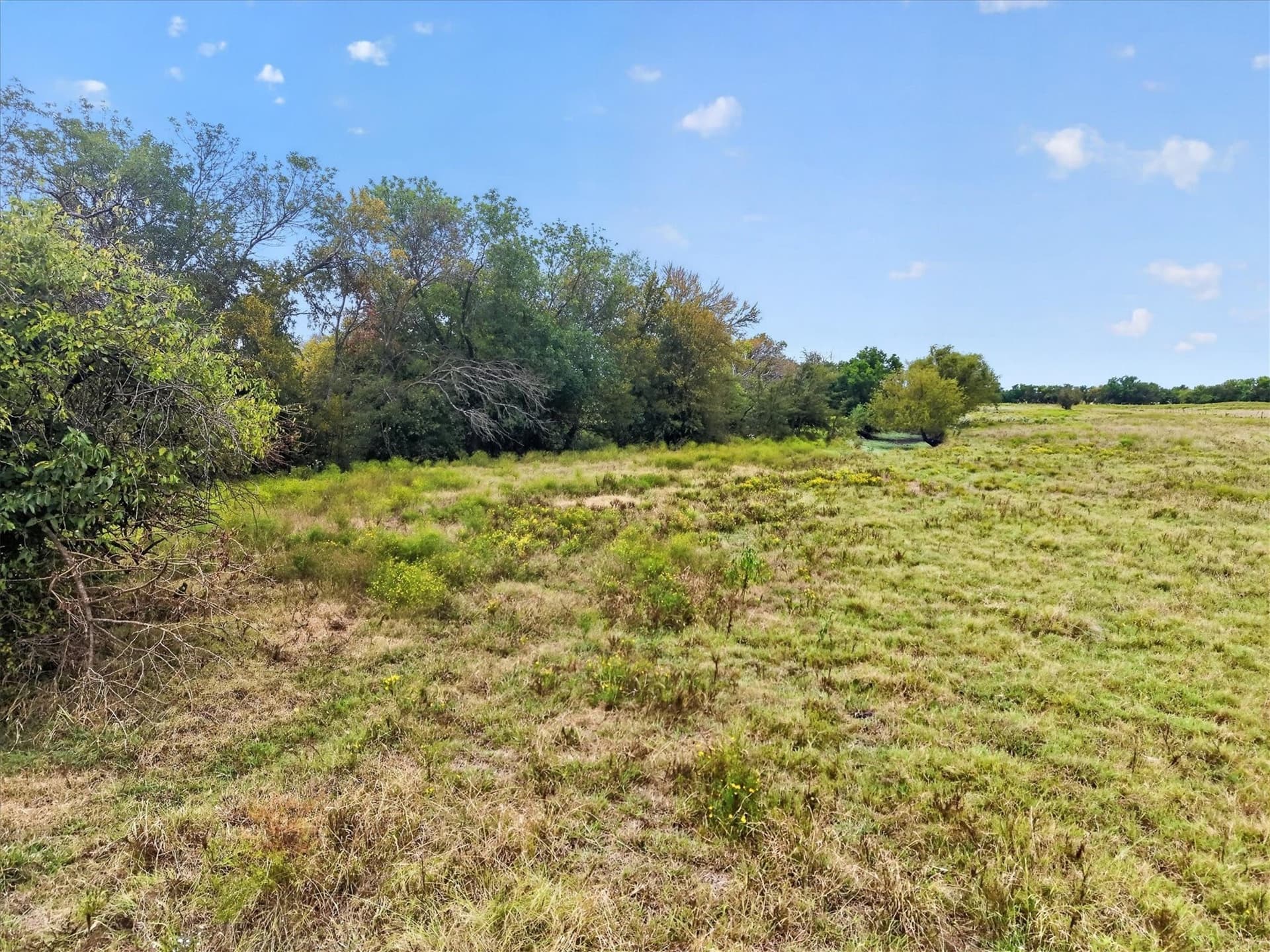21.88 acres in Collin County - photo 18