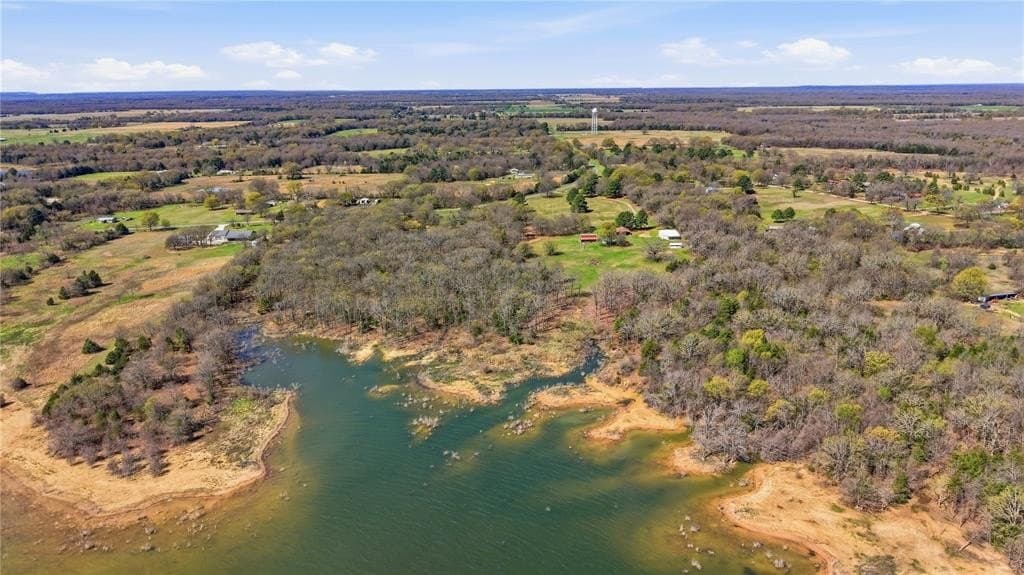 21.71 acres in Fannin County gallery image 2