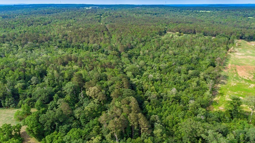 47.15 acres in Texas County - photo 9