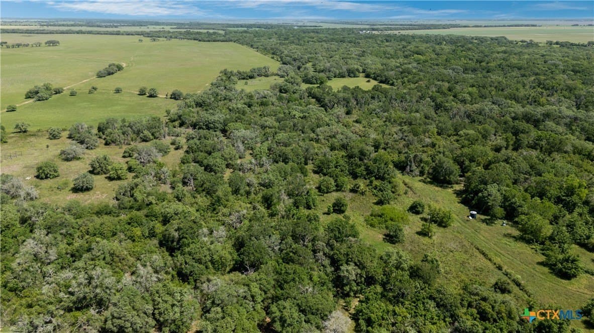 6 acres in Wharton County gallery image 4