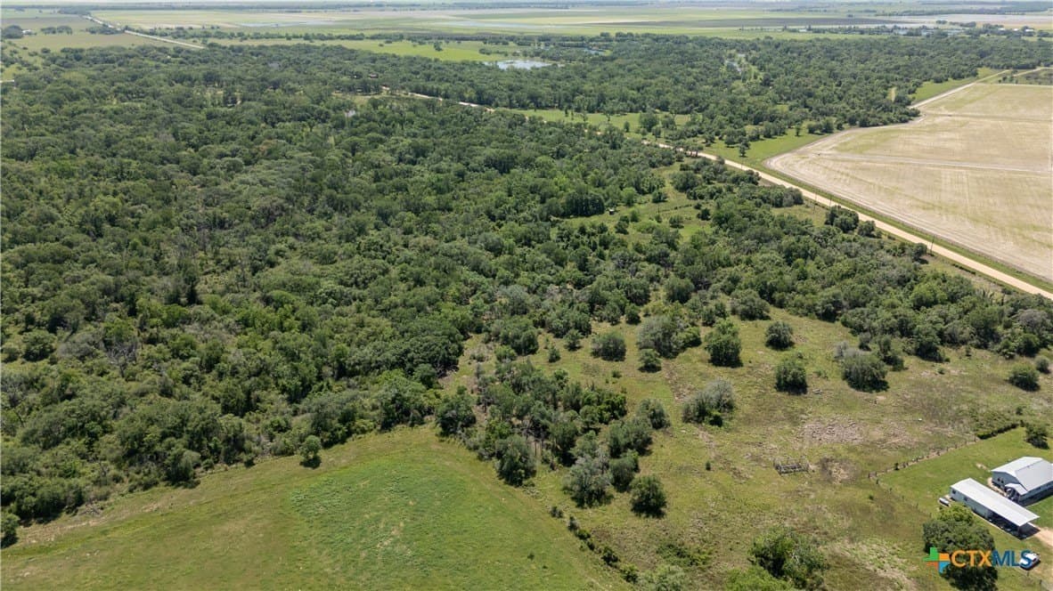 6 acres in Wharton County gallery image 2