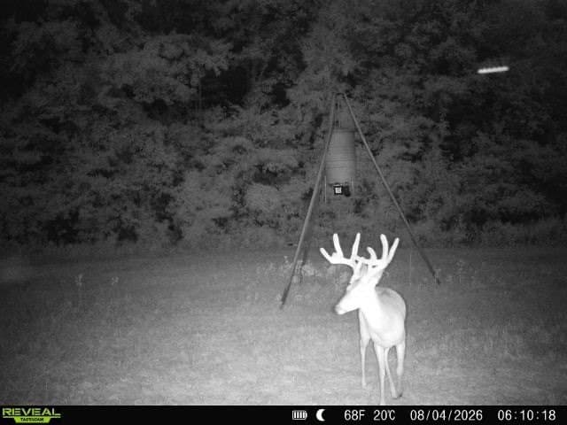 189 acres in Hopkins County - photo 32
