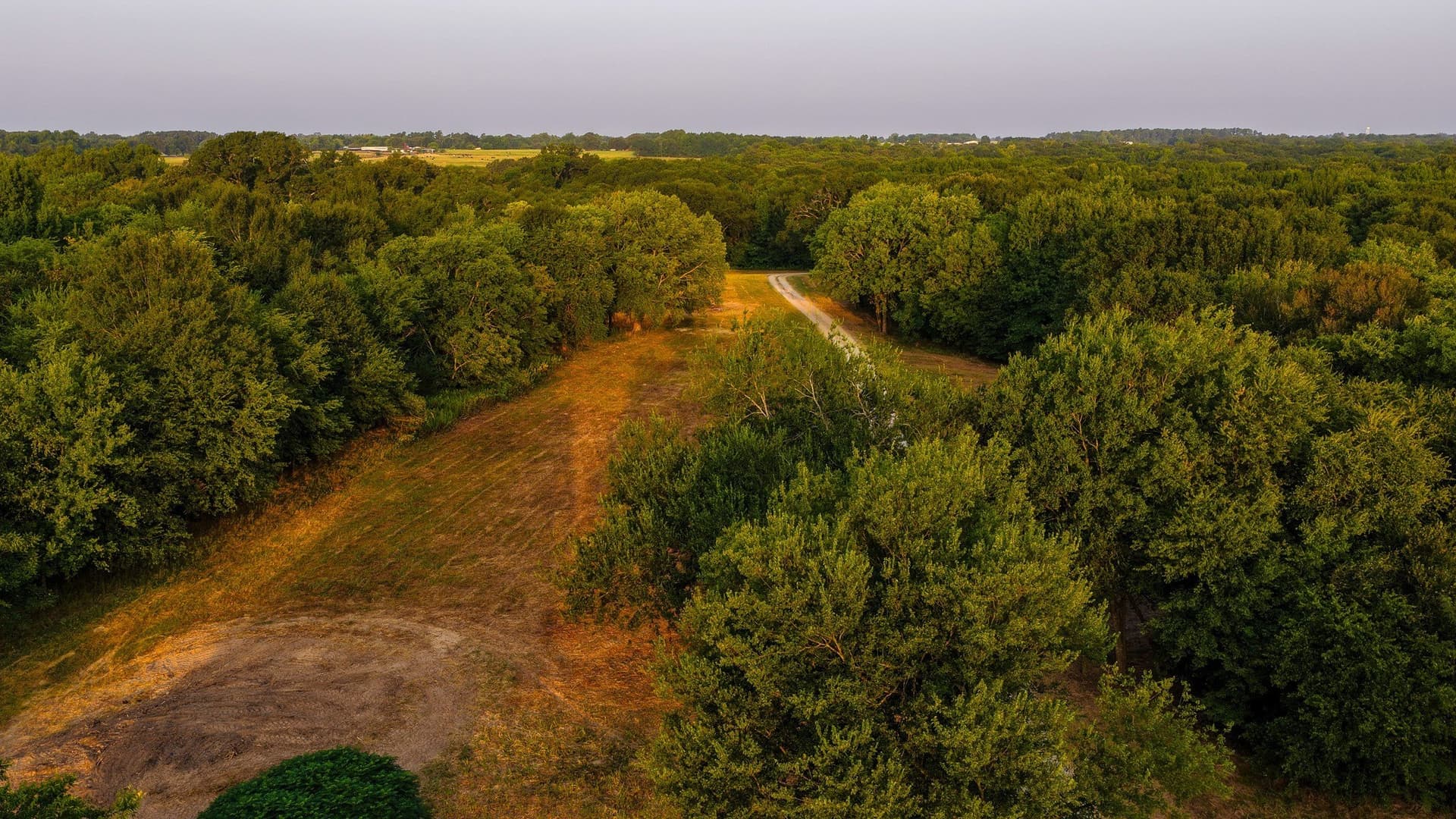 189 acres in Hopkins County - photo 27