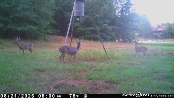 189 acres in Hopkins County - photo 33