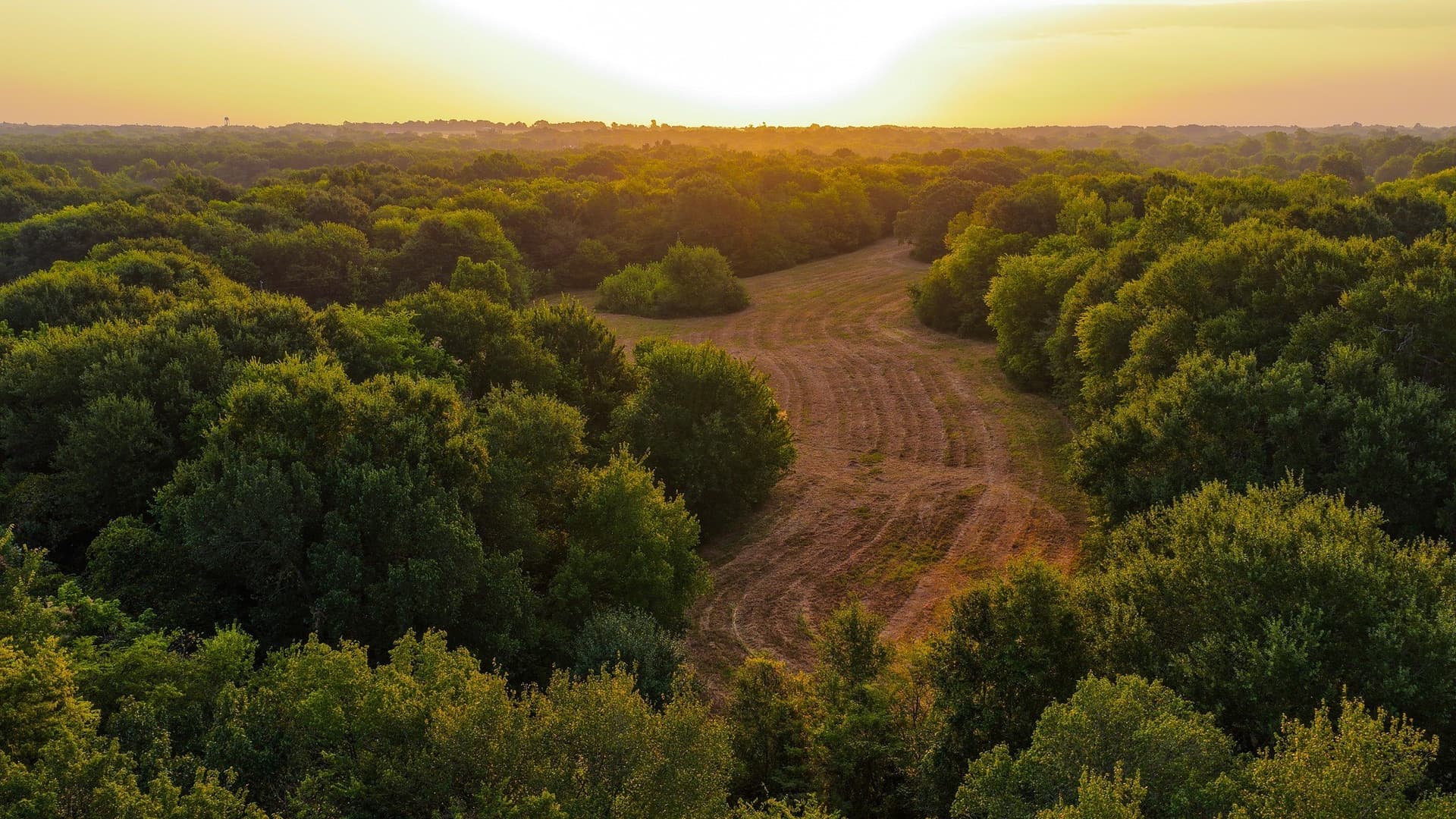 189 acres in Hopkins County - photo 18