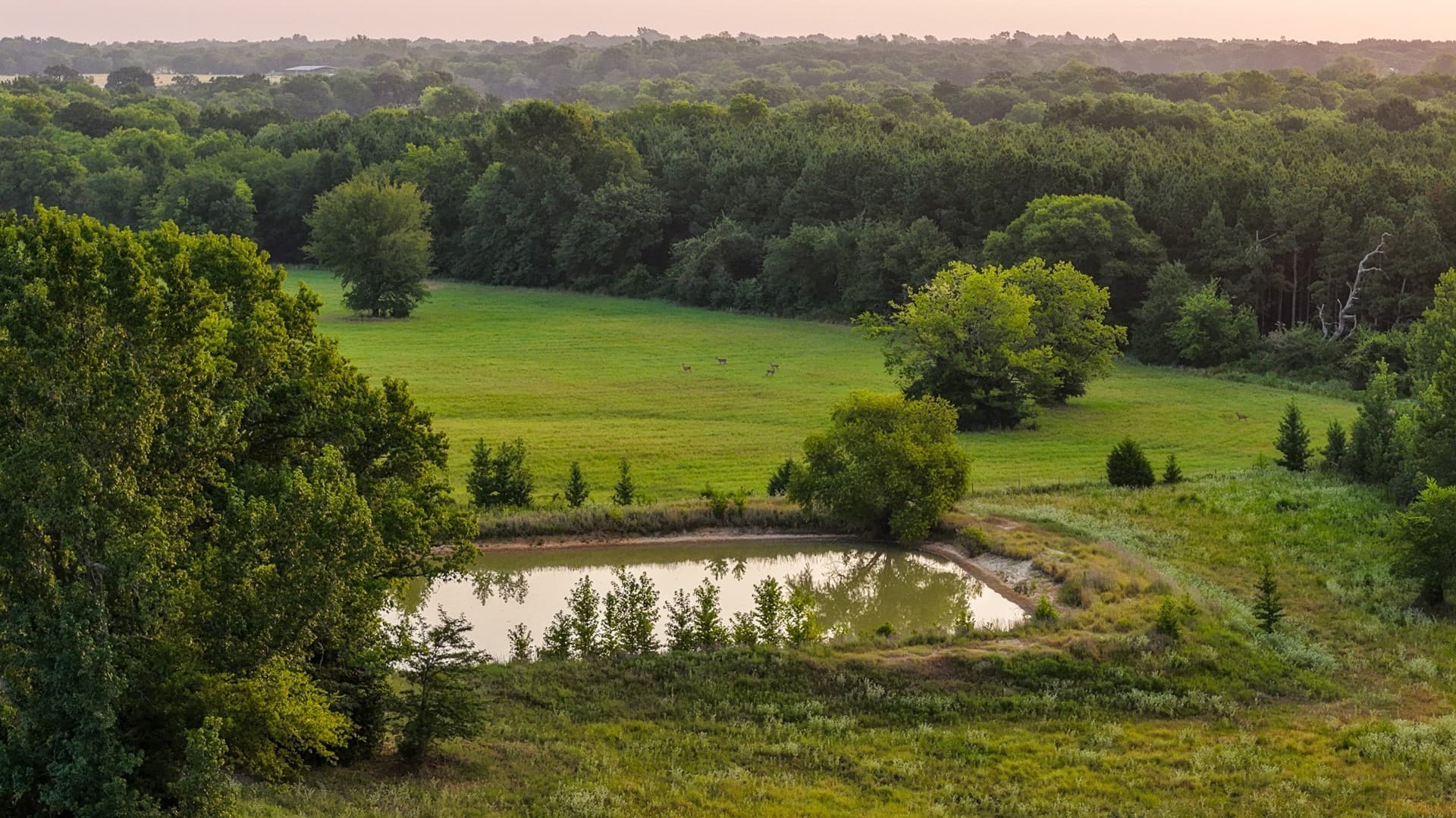 189 acres in Hopkins County - photo 37