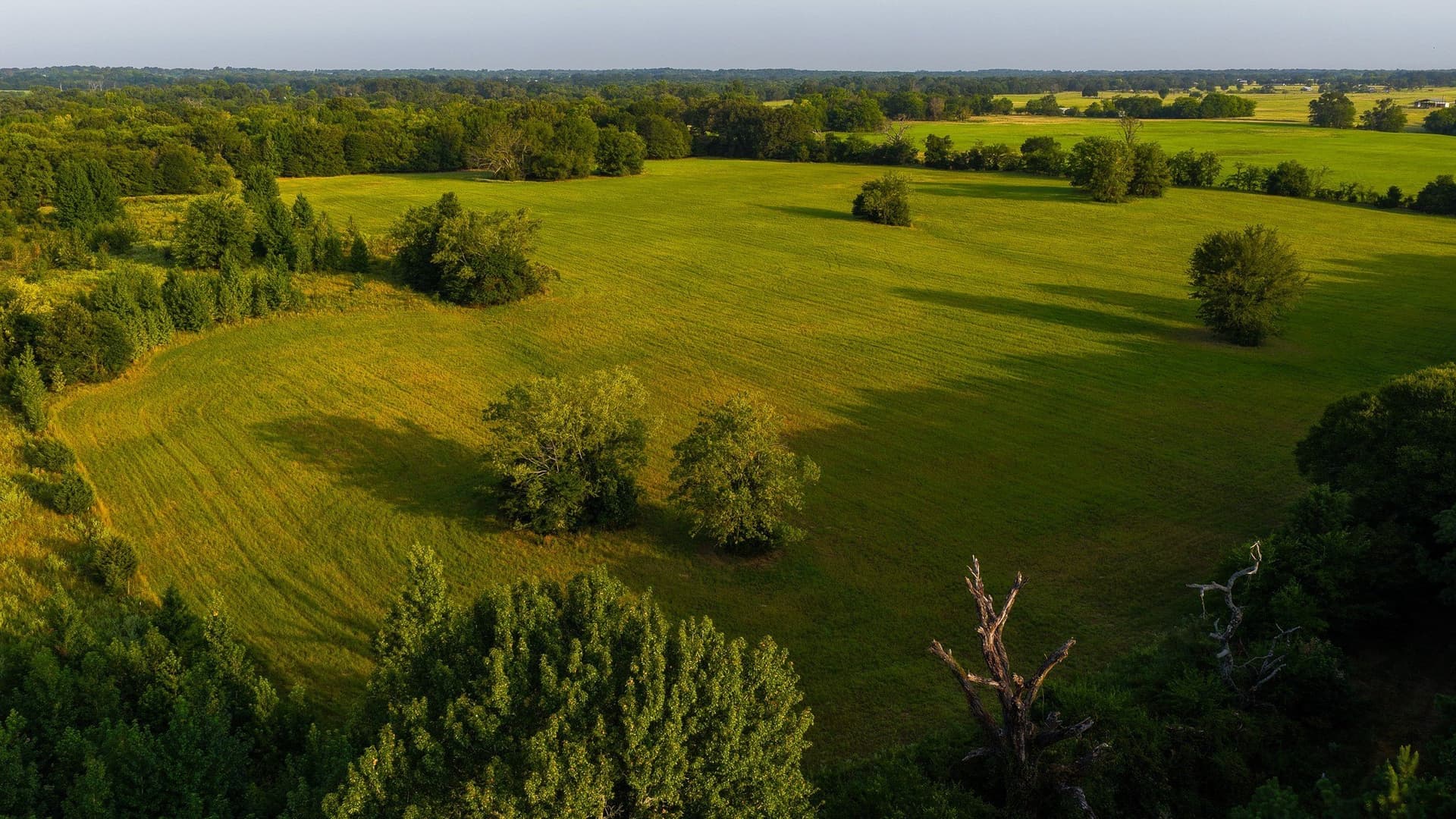 189 acres in Hopkins County - photo 29