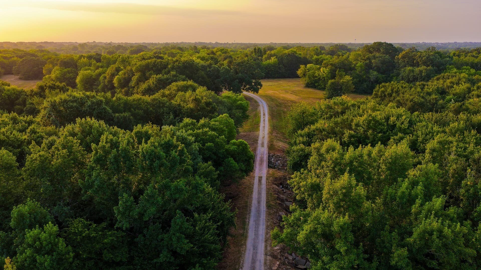 189 acres in Hopkins County - photo 25