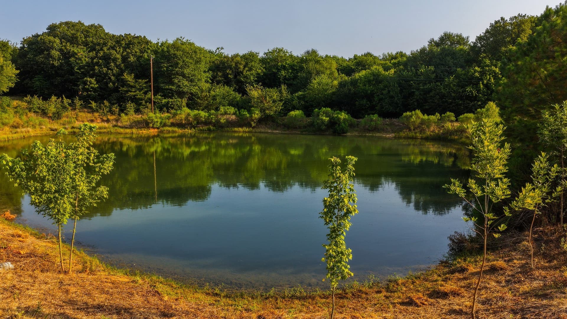 189 acres in Hopkins County - photo 34