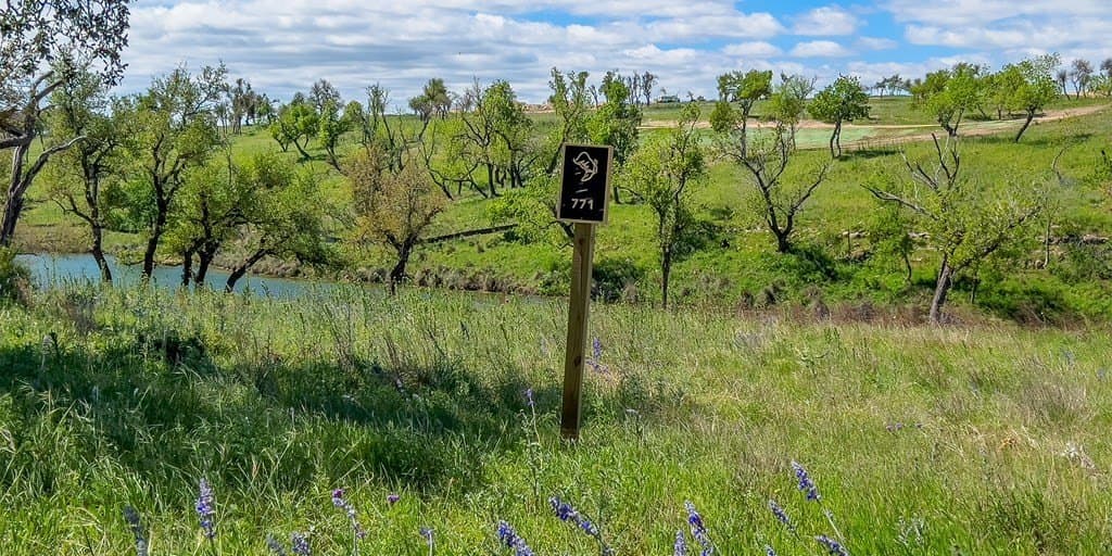 0.75 acres in Gillespie County - photo 2