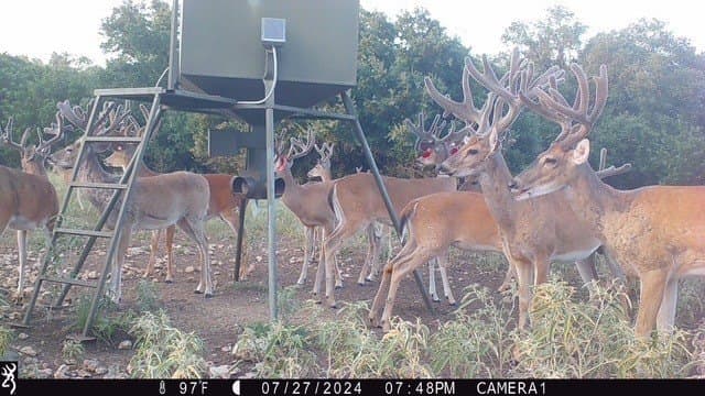 12.27 acres in Bosque County - photo 35