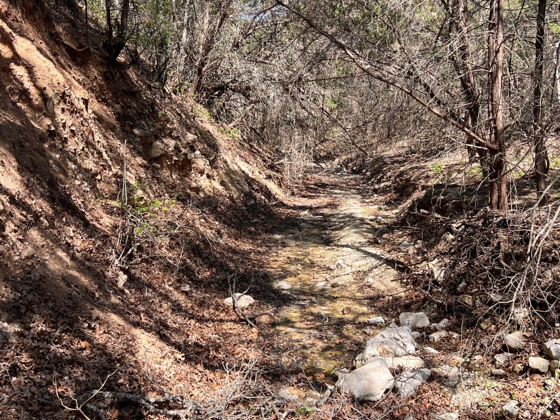 12.27 acres in Bosque County - photo 25