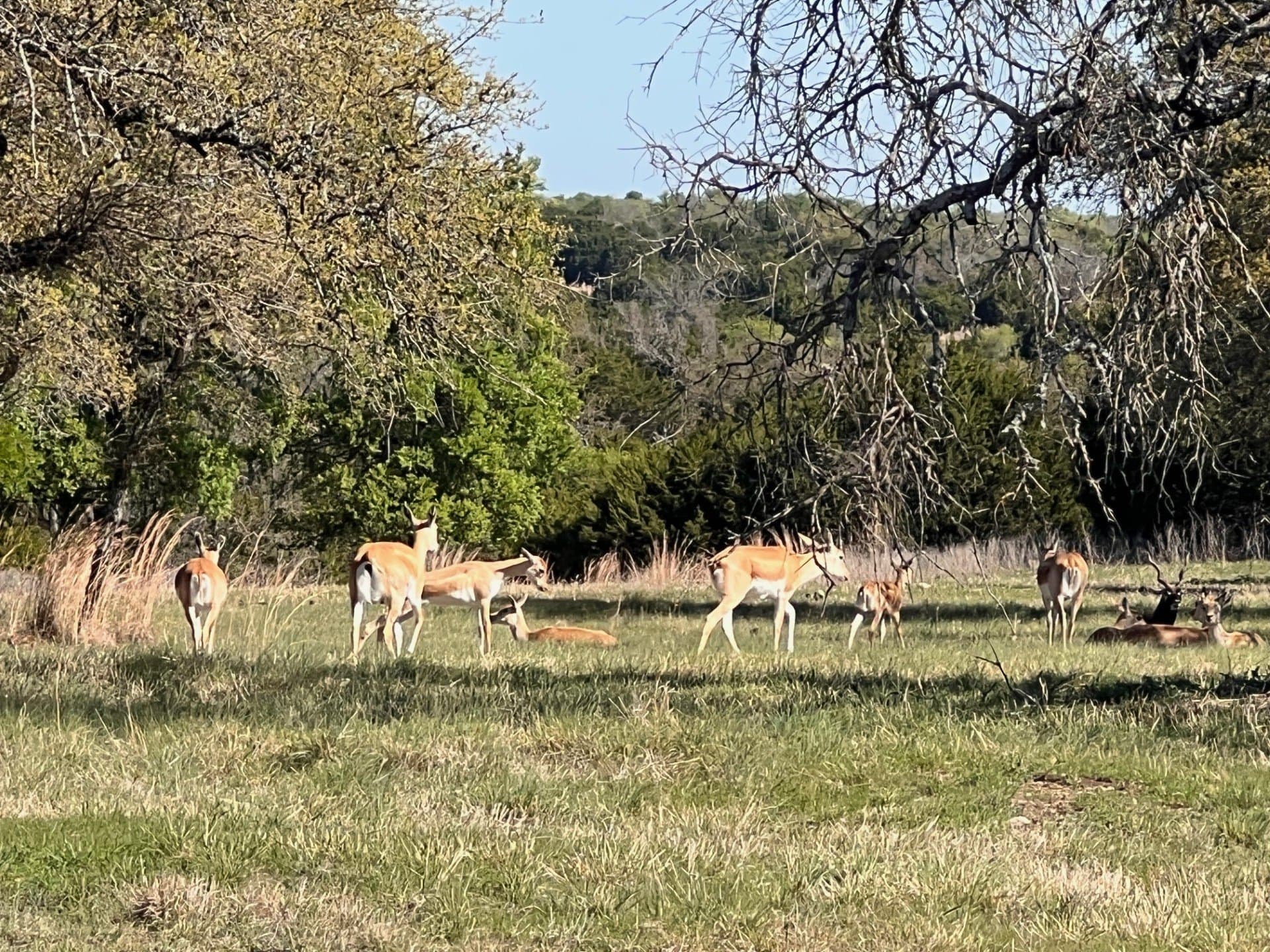 12.27 acres in Bosque County - photo 30