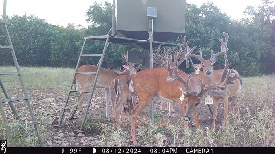 12.27 acres in Bosque County - photo 36