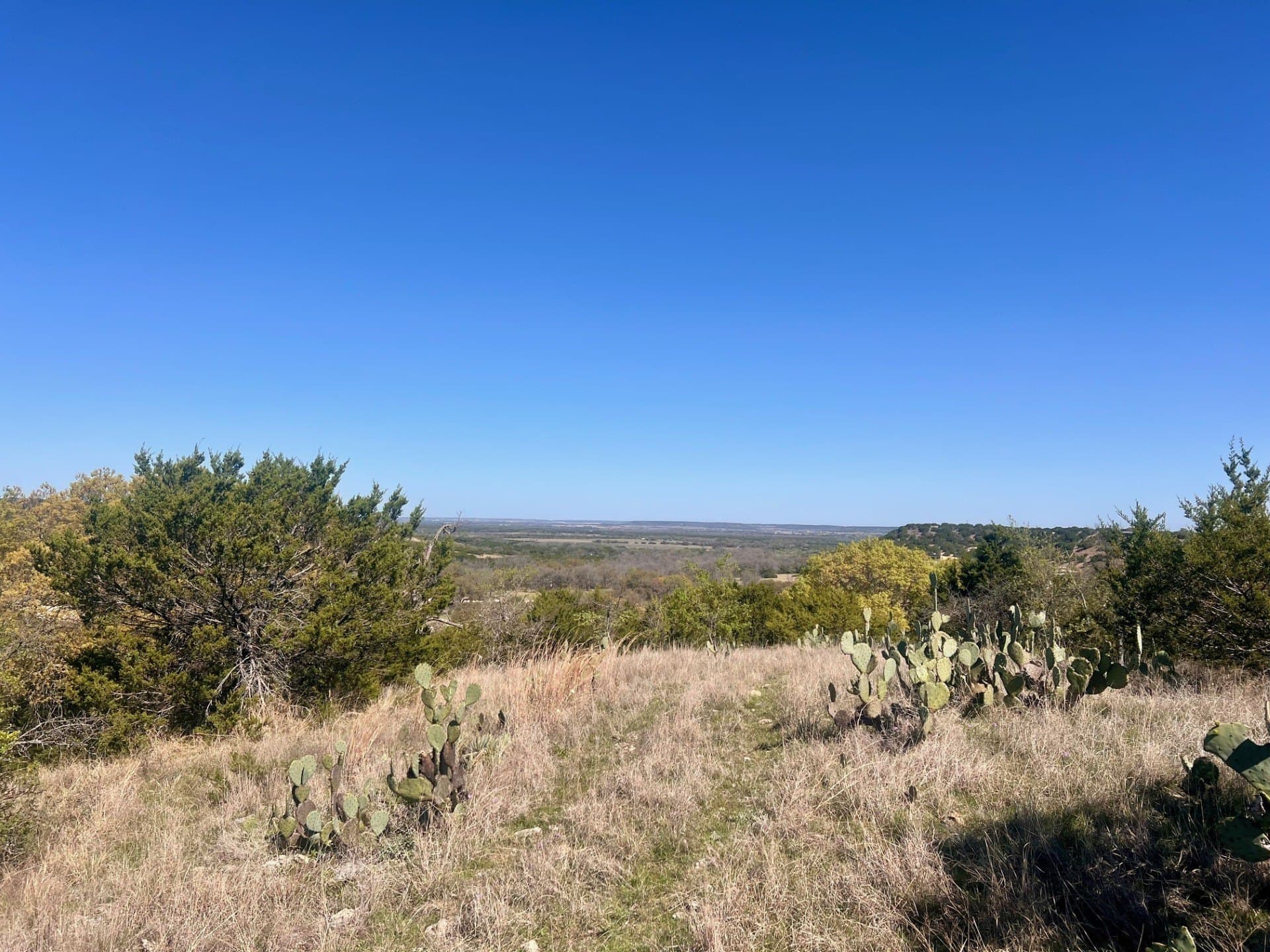 12.27 acres in Bosque County - photo 12