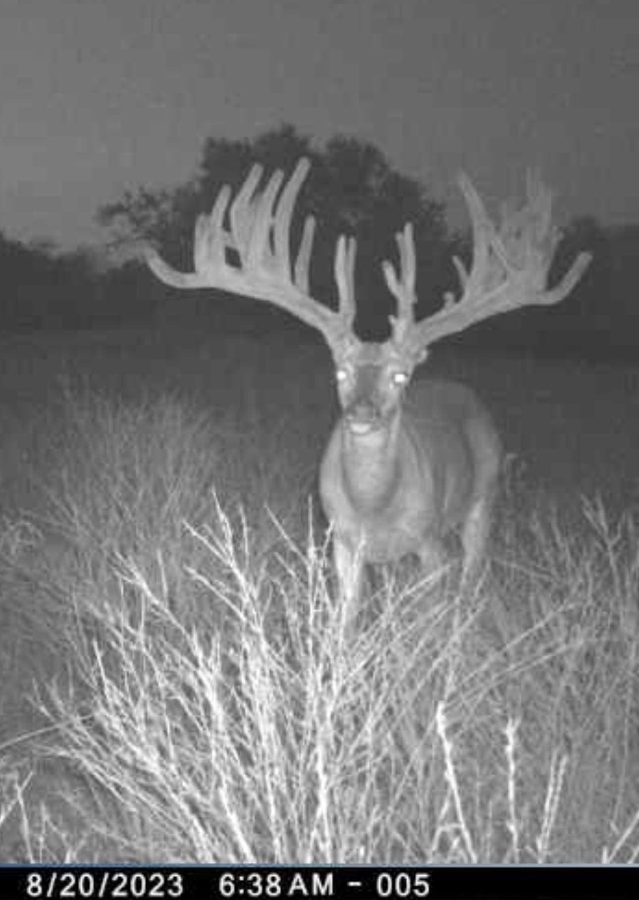 12.27 acres in Bosque County - photo 33