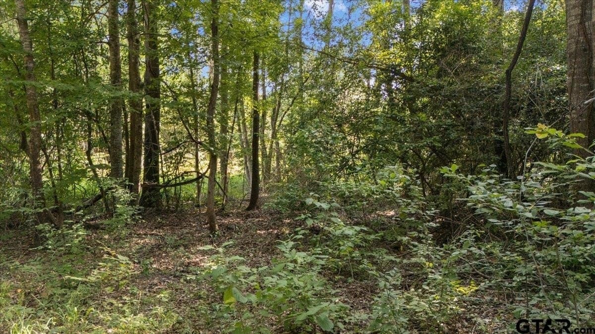 20 acres in Smith County - photo 12