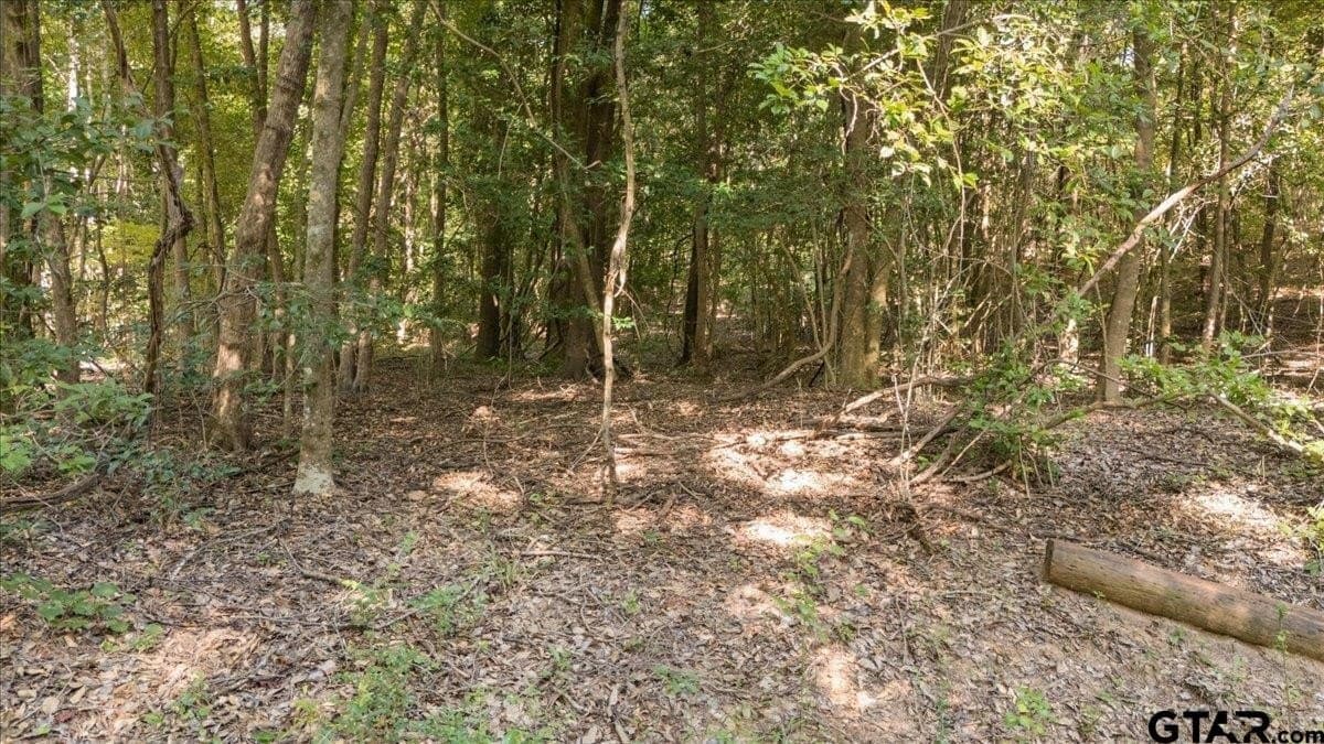 20 acres in Smith County - photo 17