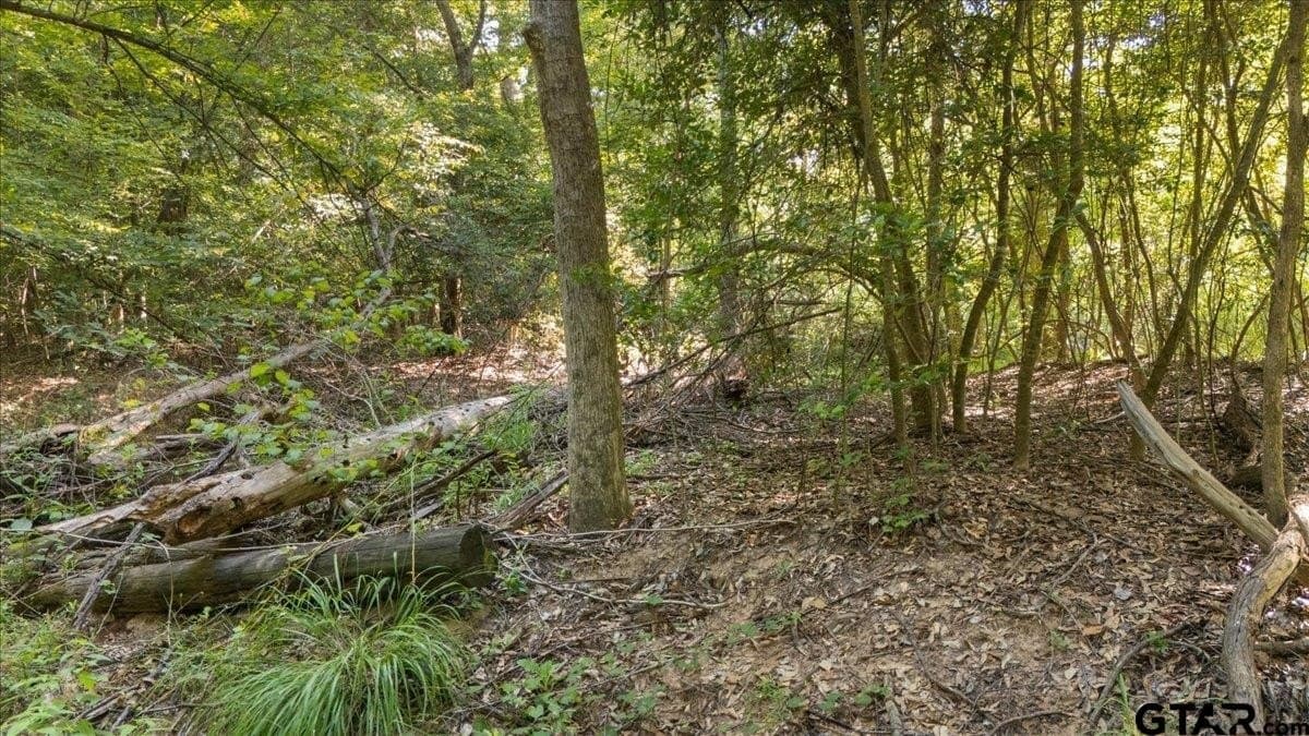 20 acres in Smith County - photo 18