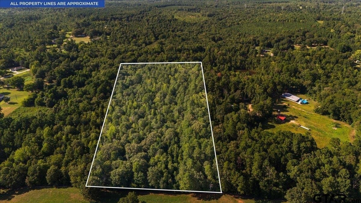 20 acres in Smith County - photo 8