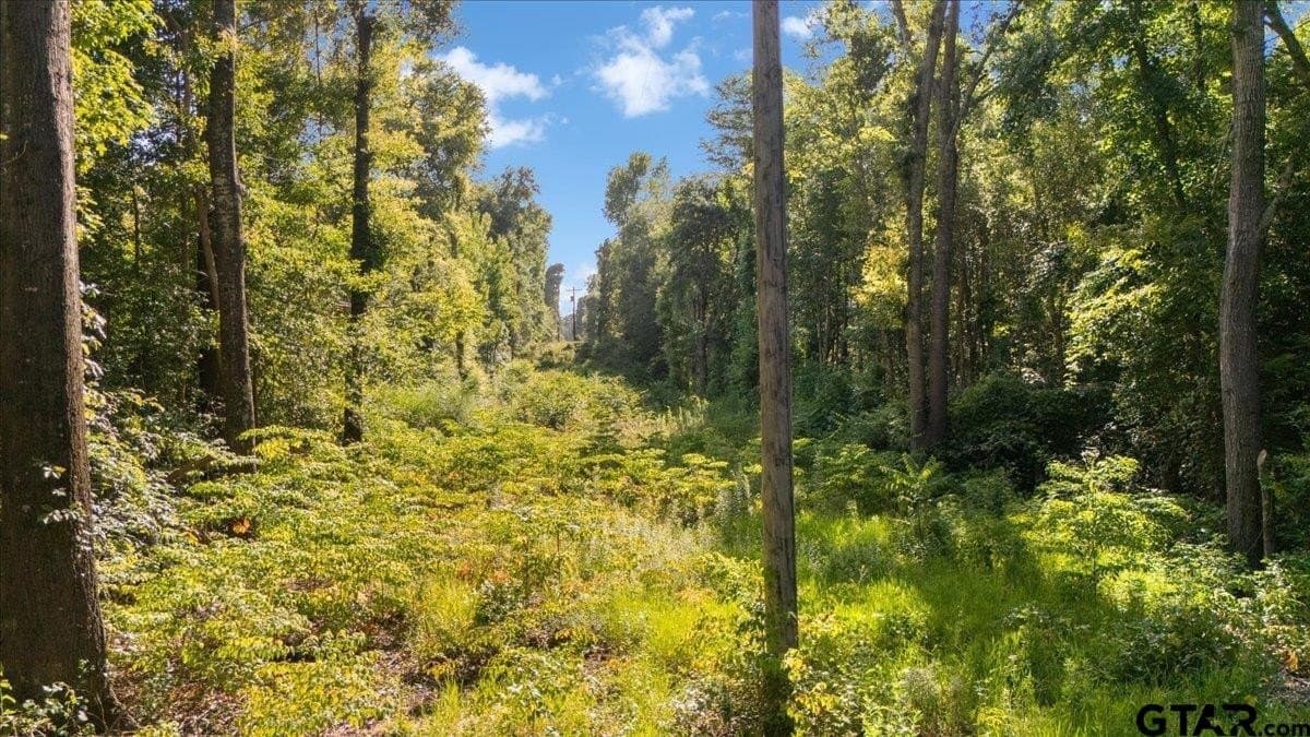 20 acres in Smith County - photo 15