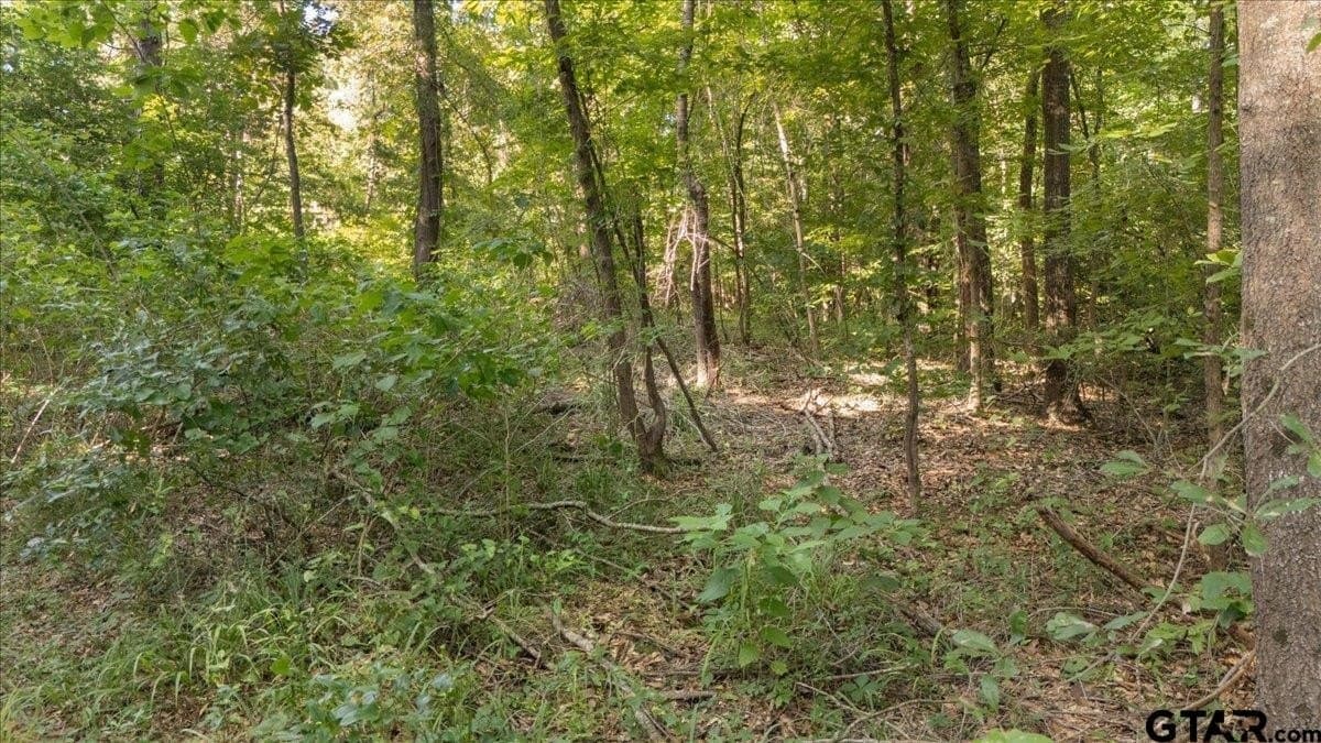 20 acres in Smith County - photo 13
