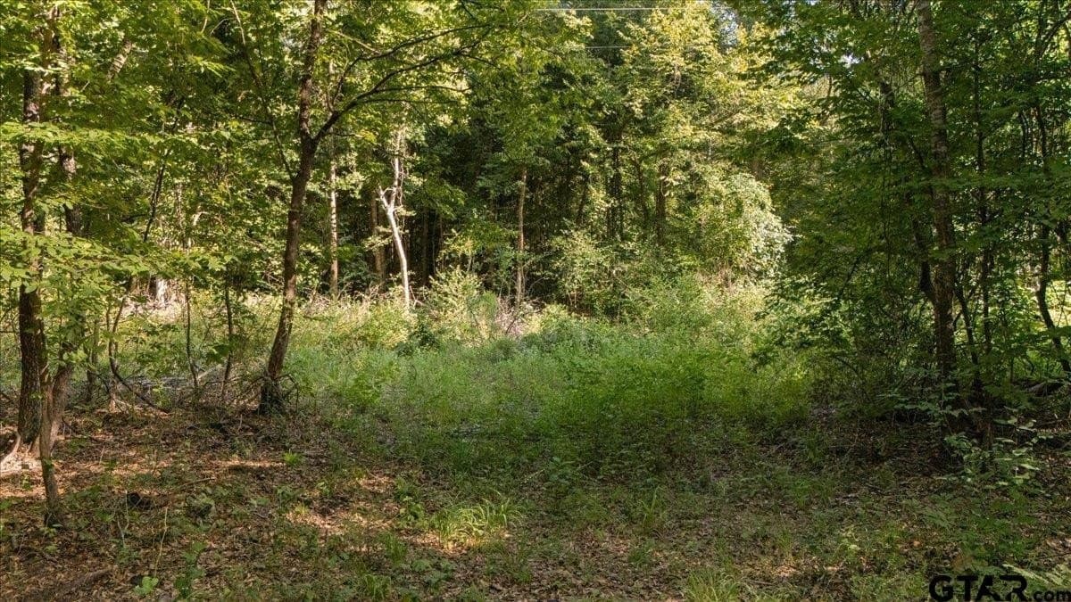 20 acres in Smith County - photo 11