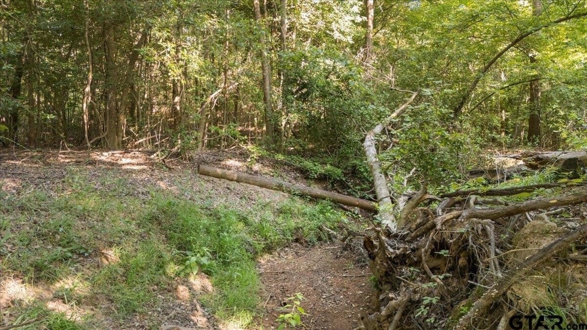 20 acres in Smith County - photo 16
