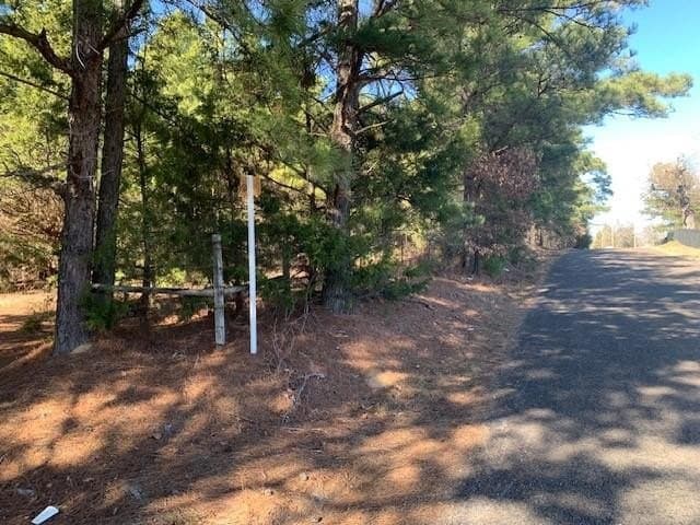 54.58 acres in Smith County gallery image 3