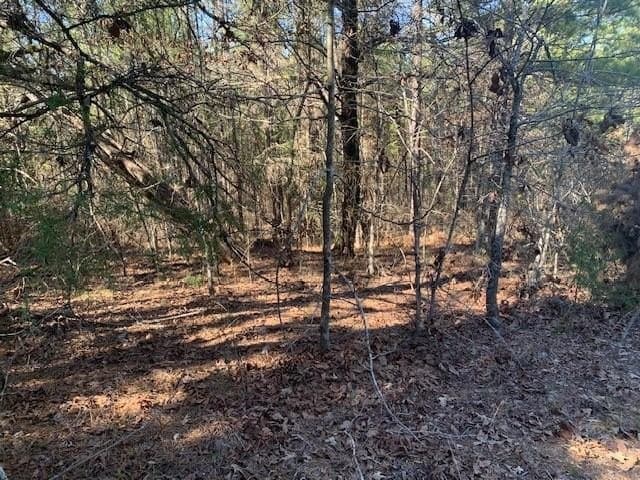 54.58 acres in Smith County gallery image 4