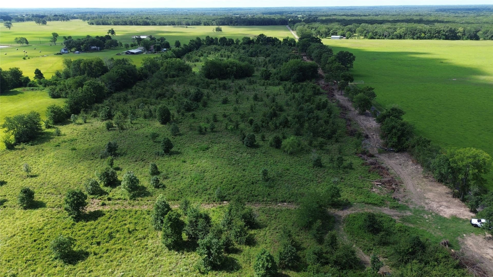 2 acres in Rains County - photo 4