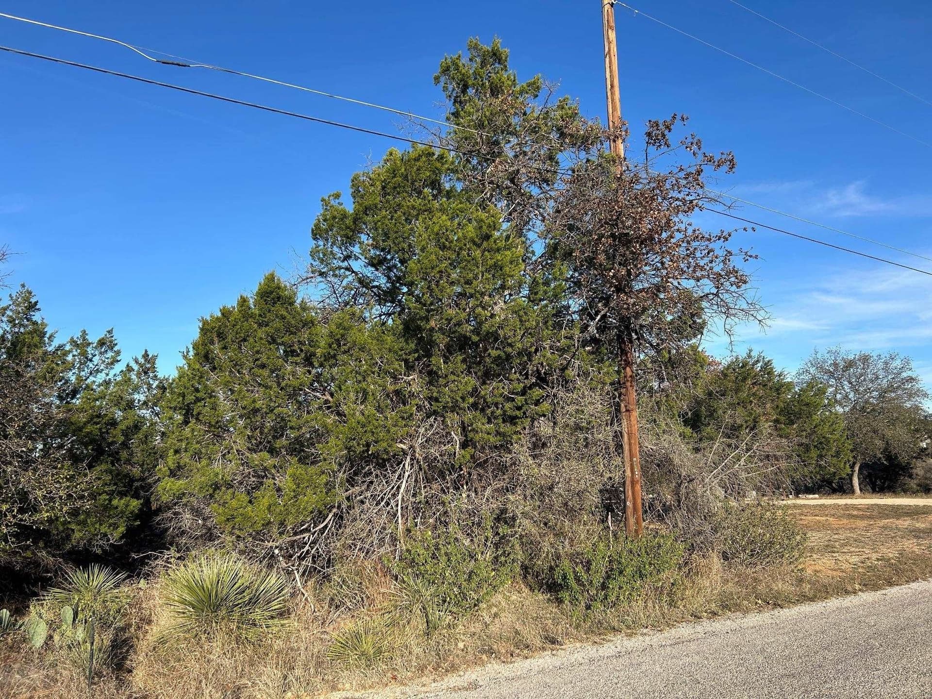 0.11 acres in Burnet County gallery image 3