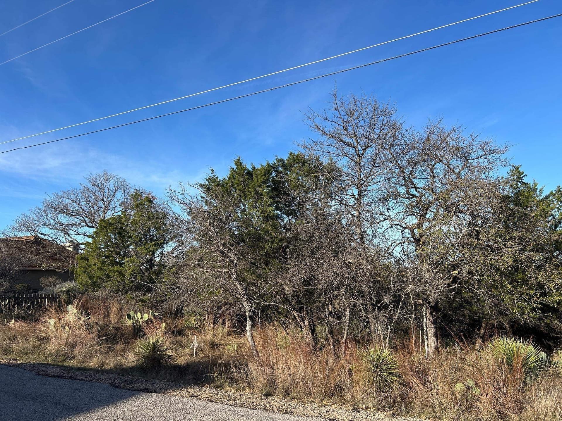 0.11 acres in Burnet County gallery image 2