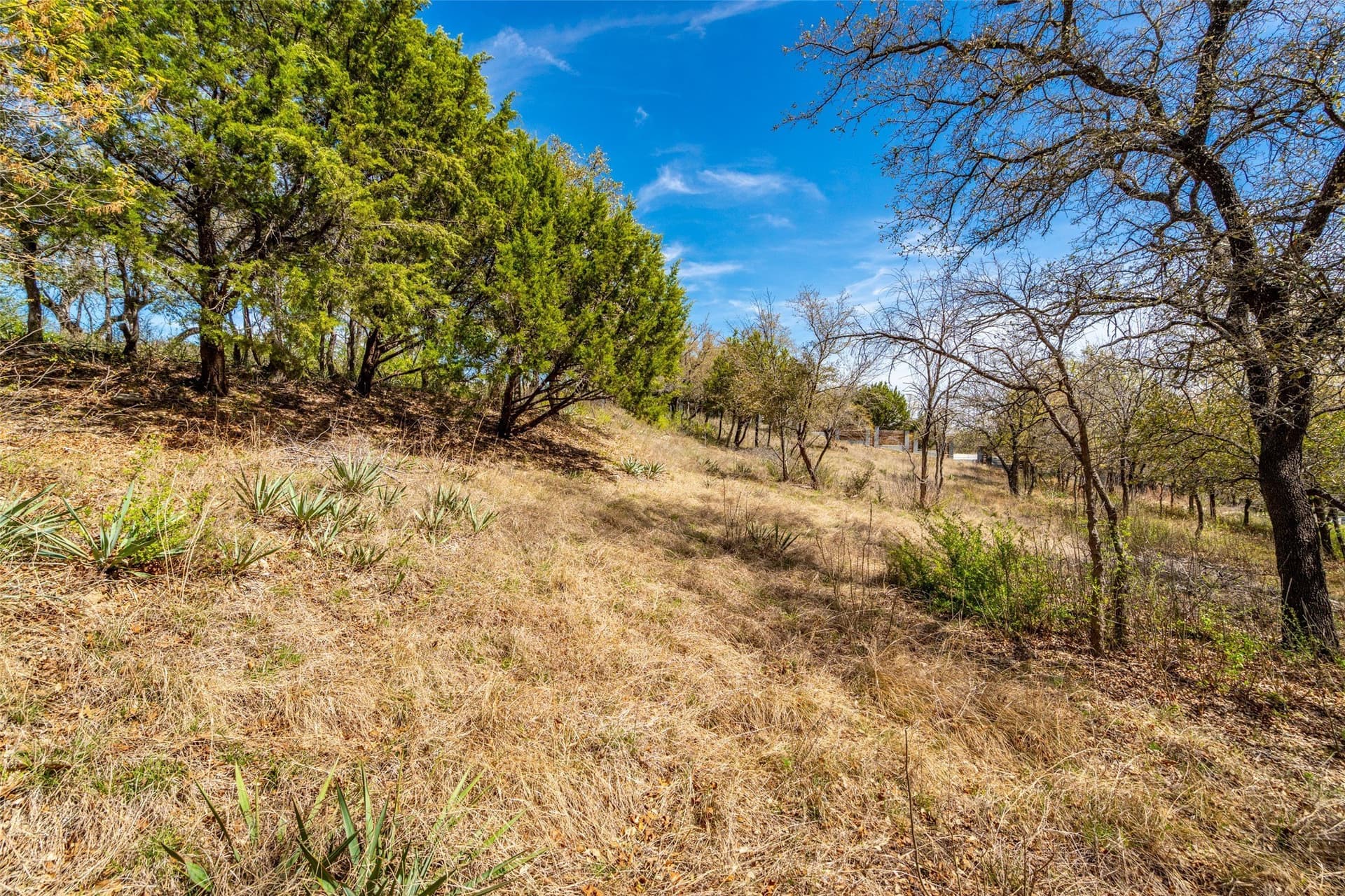 1.31 acres in Tarrant County - photo 13